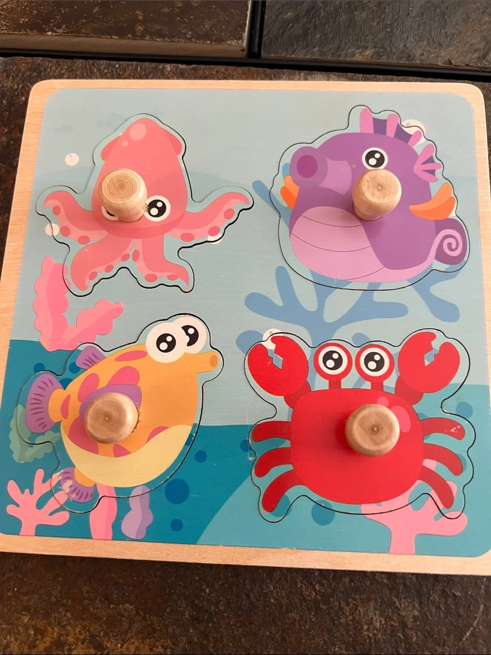Wooden Farm, Fruit, Dinosaur & Ocean Knob Puzzles-Toddlers First Puzzle Set, EUC